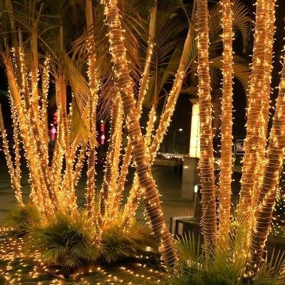 挂树上的装饰灯户外树上挂灯缠绕亮化灯带室外彩灯新年春节挂在树