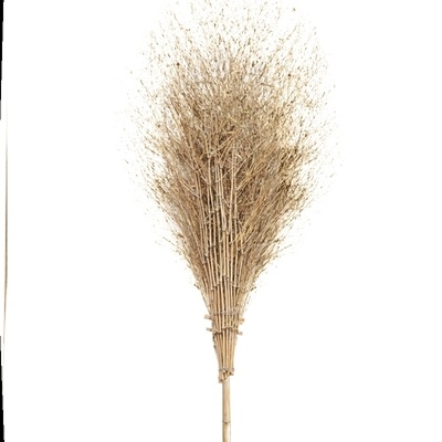 【扫地竹笤帚图片】扫地竹笤帚图片大全_好便宜网