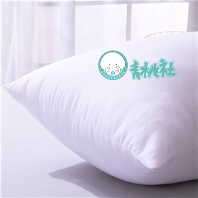 正品青桃社动漫周边定制二次元魔力弹羽绒棉等身抱枕专用枕芯