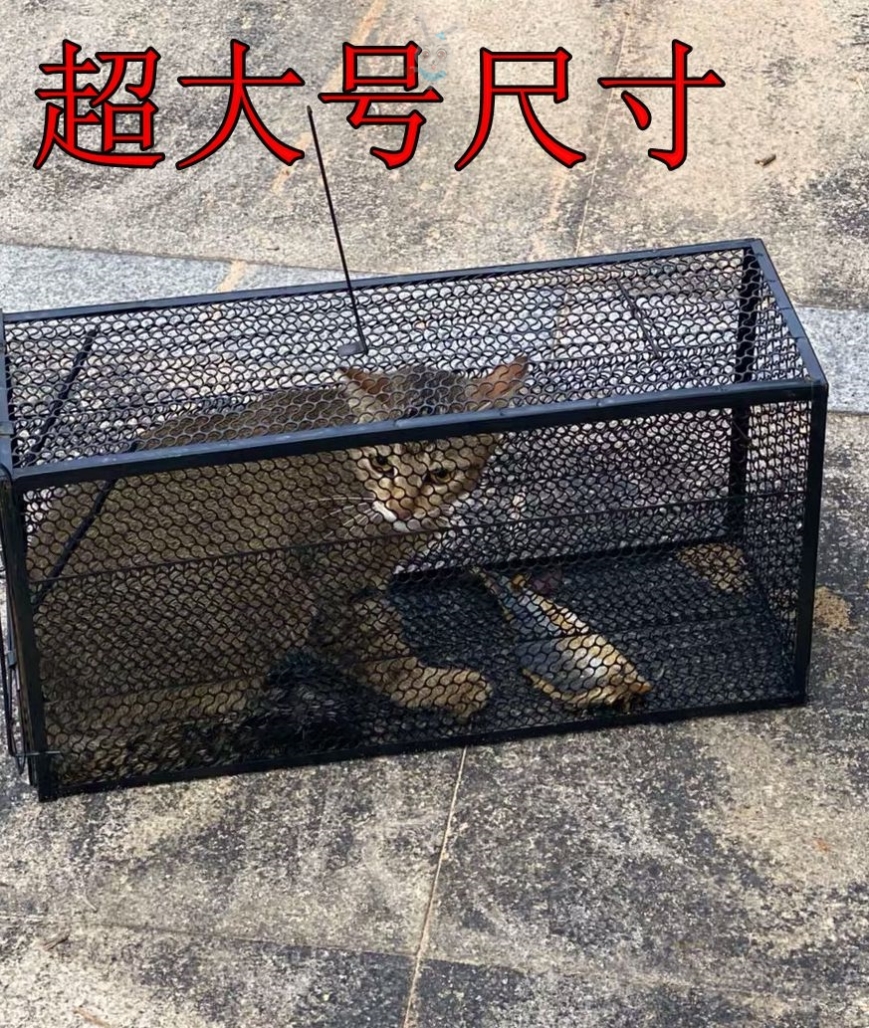 特价捕猫笼子