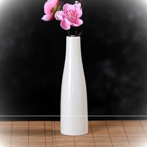 漂亮花瓶w玻璃纯色水培陶瓷小号迷你花盆个性简约插花水养植物