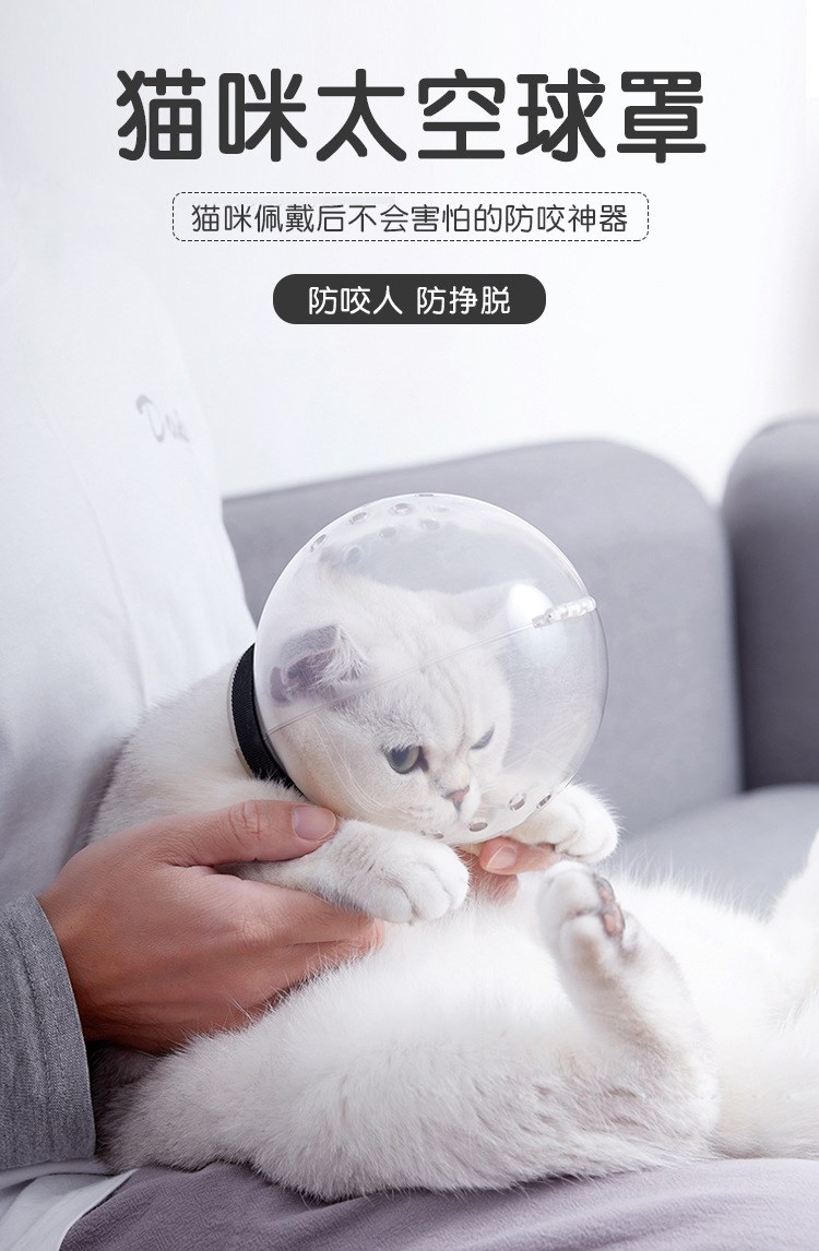 猫咪太空球圆球安全猫咪头罩专业防咬舔透明塑料头罩头套口罩脖圈