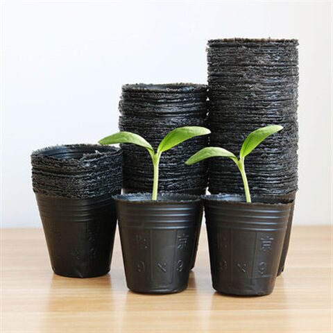 营养钵育苗袋营养袋营养杯育苗盆种植穴盆育苗盘育苗杯