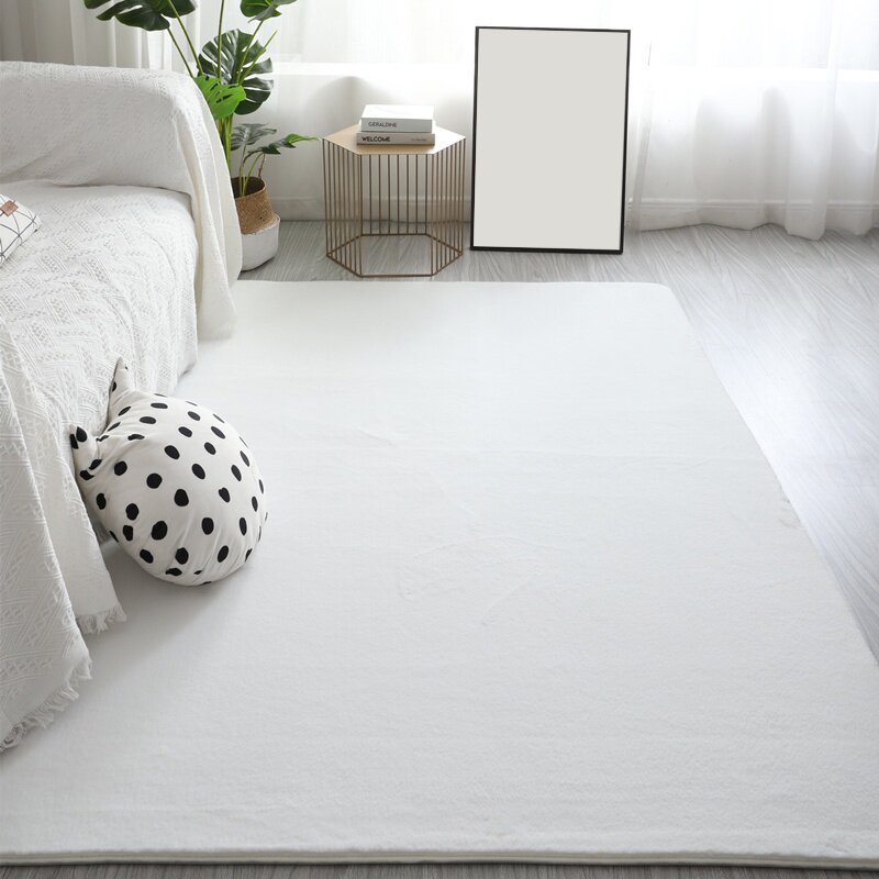 摄影布满拍照白色背景间网客厅红床边茶几地毯铺地毯直播毯衣帽间