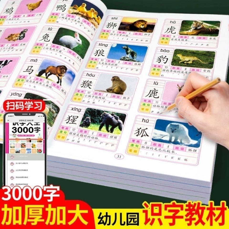 识字大王3000字有声伴读幼儿童启蒙幼小学前宝宝看图认知字书大全