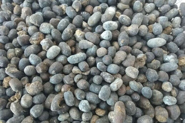 羊粪发酵有机肥 干羊粪蛋 鸡粪兰花蔬菜 铁皮石斛专用肥料 羊屎蛋