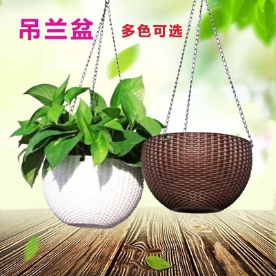 今日受青睐的吊兰吊篮花盆垂吊盆悬挂式挂钩养种绿萝专用的室内自吸水
