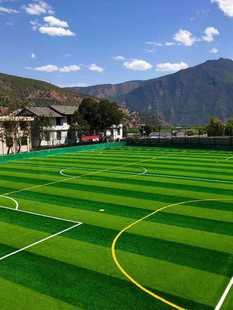 人造仿真草坪塑料假绿植幼儿园人工草皮装饰地毯垫户外绿色足球场
