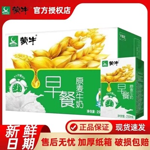 新货蒙牛早餐奶麦香核桃味牛奶250mL16盒整箱营养乳饮料正品特价