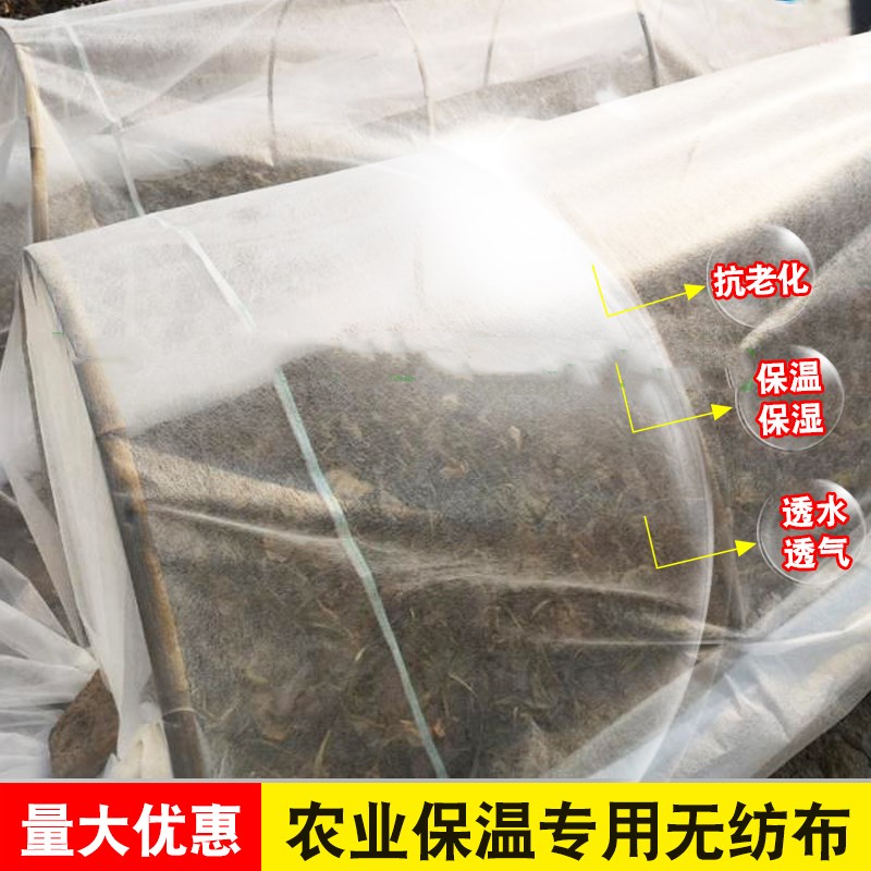 上新布化无草苗圃园林m绿包懒汉降解直销防虫网全新育秧花纺布 盖