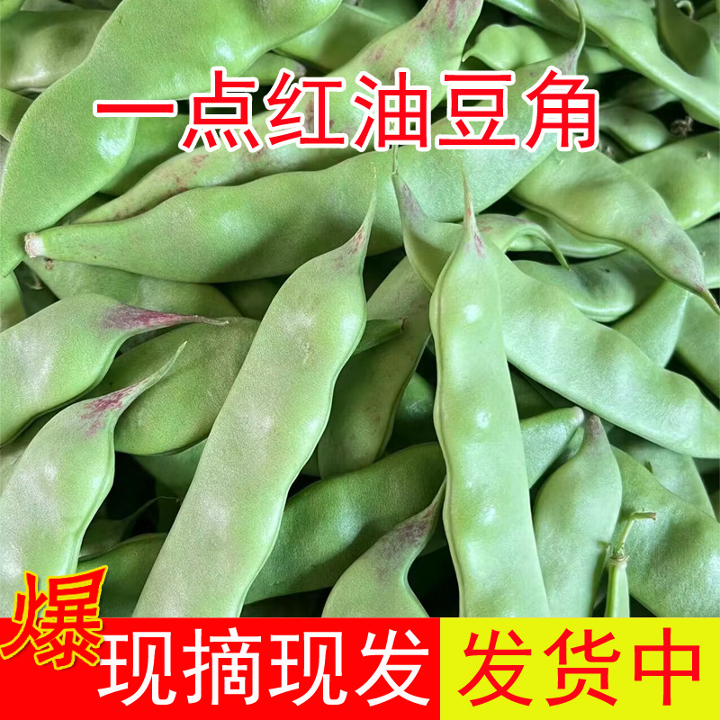 东北油豆角一点红现摘新鲜蔬菜农家绿