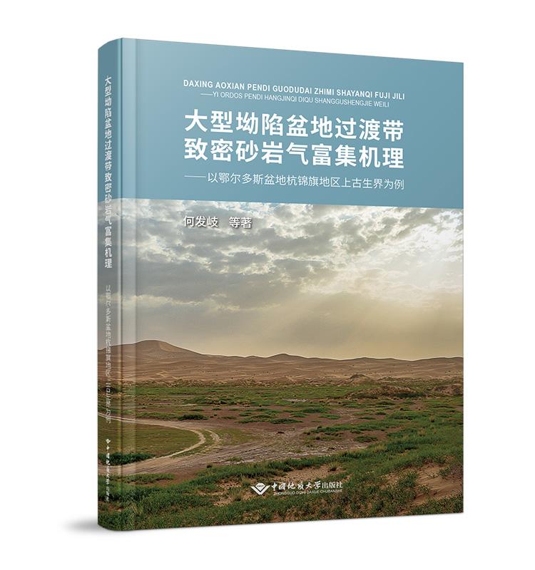 正版  大型坳陷盆地过渡带致密砂岩气富集机理——以鄂尔多斯盆地杭锦旗地区上古生界为例 何发岐 等 著 新华文轩网络书店 图书