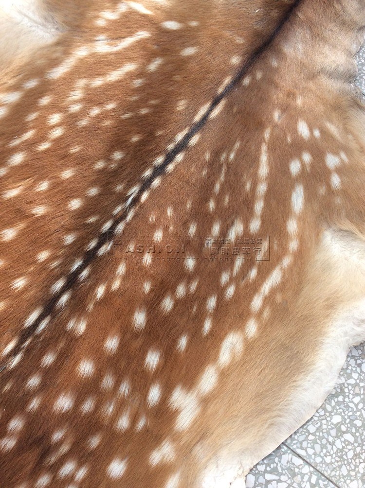 整张梅花鹿皮床垫沙发垫汽车坐垫真皮椅垫原花色工艺品
