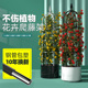 花架月季爬藤架植物攀爬架铁线莲支架包塑铁艺阳台户外植物支撑架