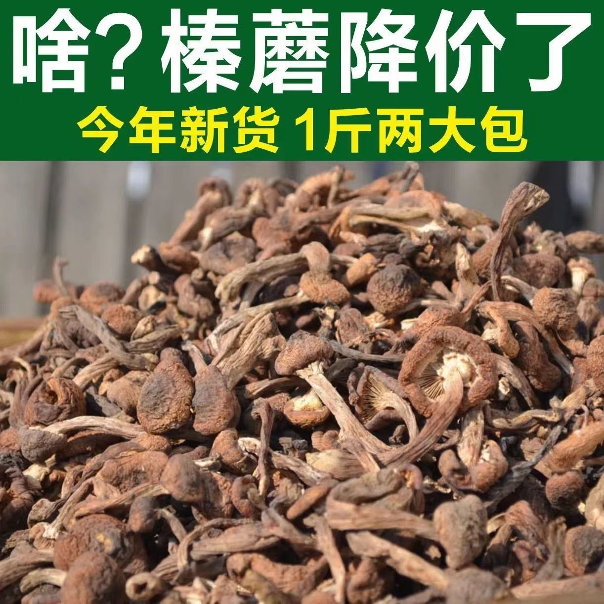 【榛蘑】正宗东北野生榛蘑小鸡炖蘑菇长白山特产干货500g商用菇