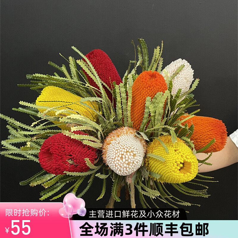 精品花卉南非进口花材鲜花速递稀有各色佛塔花班克木干花永生花