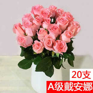 A级粉色玫瑰花戴安娜鲜花基地花束插花水养斗南直发云南昆明市场