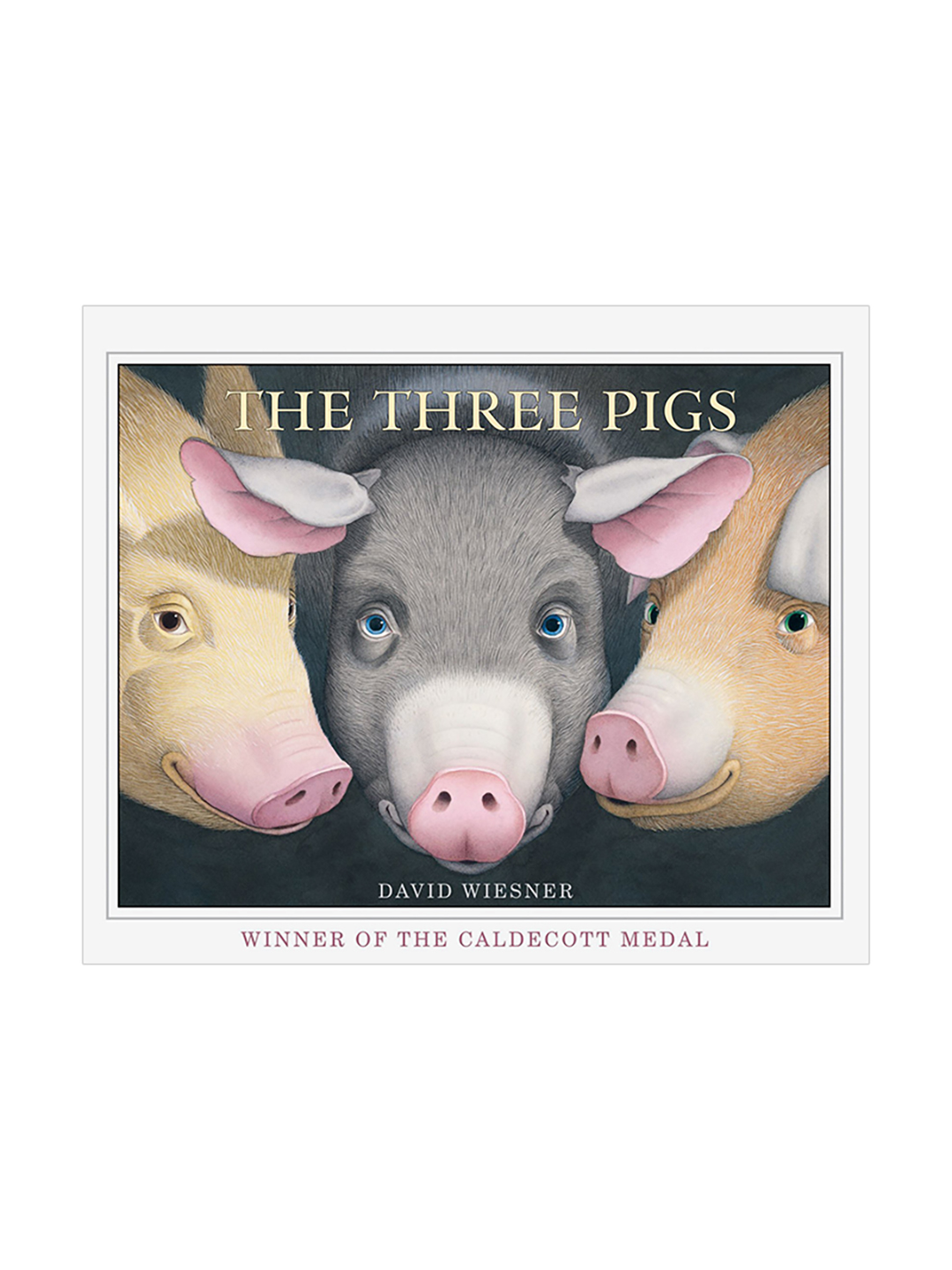 大卫威斯纳凯迪克大奖davidwiesner作品三只小猪thethreepigs儿童启蒙