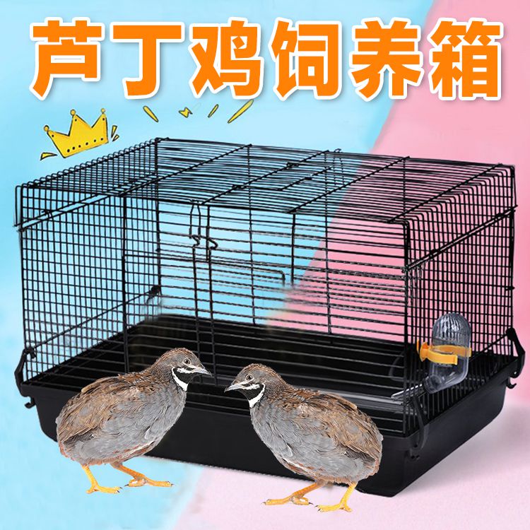 芦丁鸡饲养箱专用养殖笼家用发酵床笼子鹌鹑养小鸡的育雏笼子