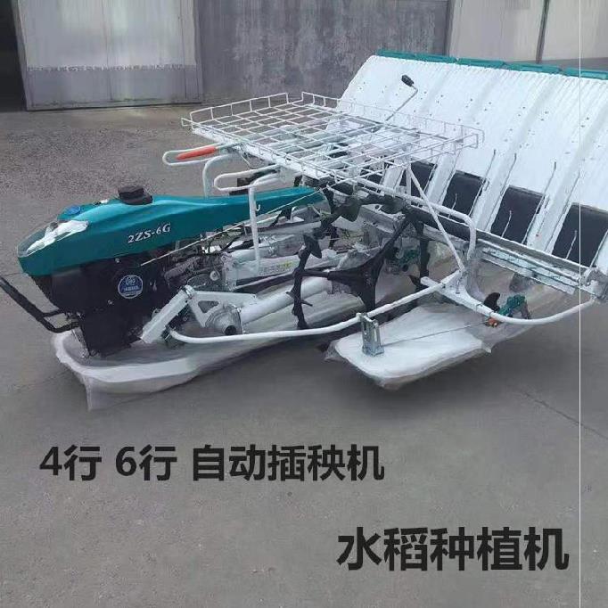 插秧机水稻农用大型家用行距调节耕田便携汽油手拉式种植机六行