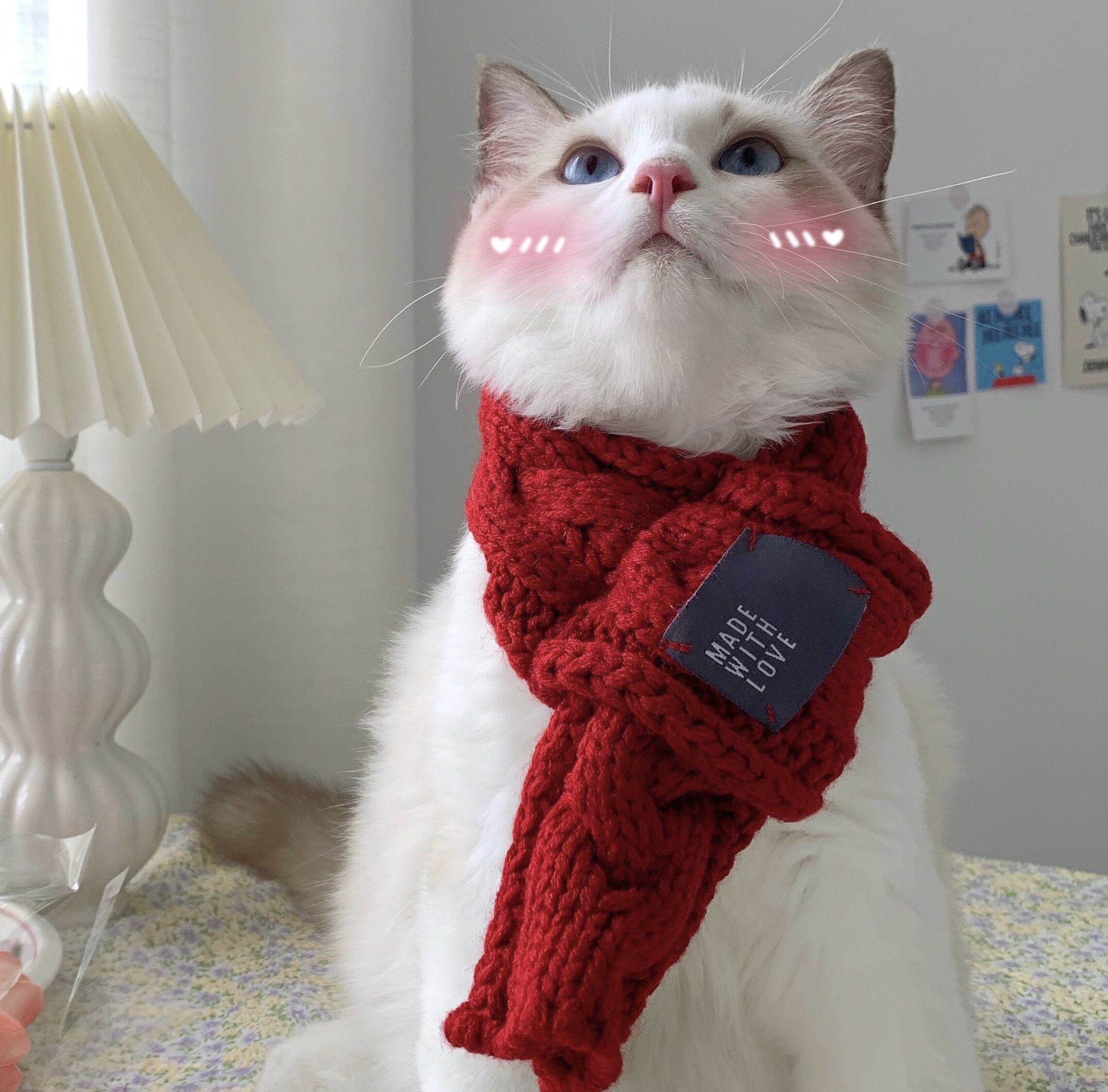 冬季ins猫咪冬天保暖围巾针织毛线甜美可爱狗狗脖套围脖宠物饰品