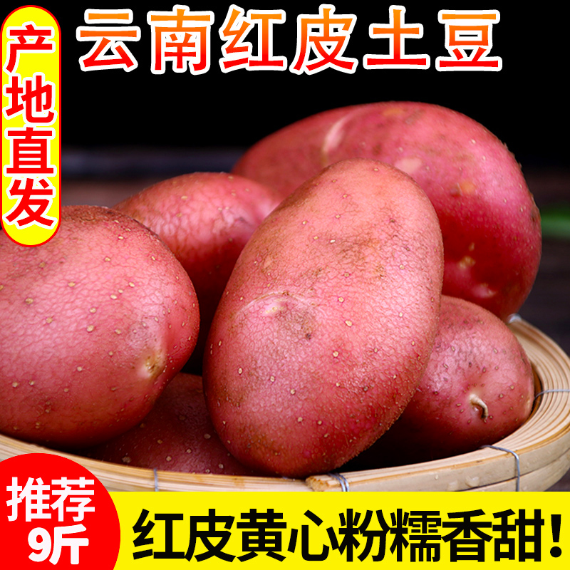 云南高山马铃薯新鲜红皮土豆黄心土豆10斤农家洋芋小土豆蔬菜包邮