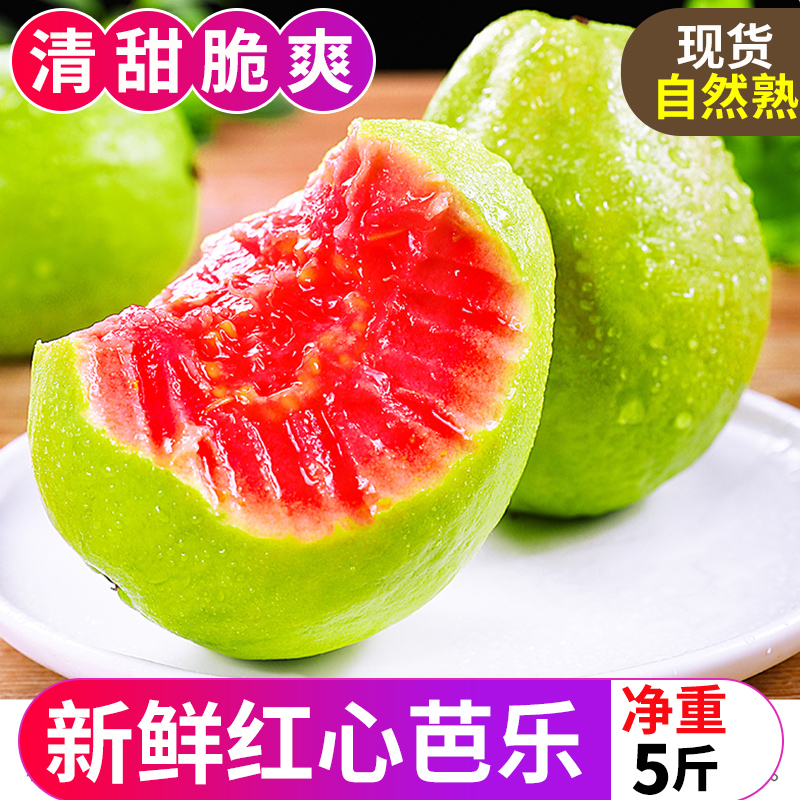 广西红心芭乐软糯番石榴5斤新鲜水果