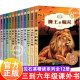 沈石溪动物小说全集全套12册 四年级五六年级课外书必读书目经典课外读物8-12岁适合小学9-10岁以上学生看读的小学生课外阅读书籍