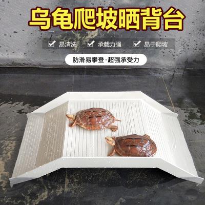 乌龟晒台diy乌龟缸晒台龟缸浮岛晒背台巴西龟草龟造景台爬坡台子图片