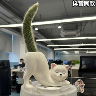 小猫咪办公室客厅绿植装饰摆件仙人掌花盆桌面布置狐尾柱可爱治愈