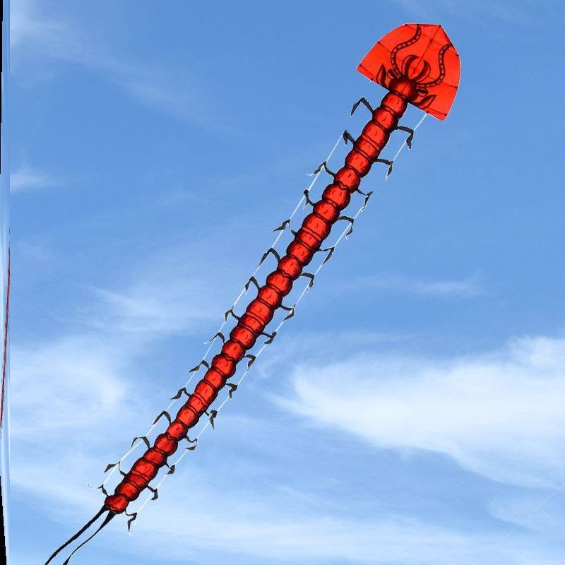 2021新款特大风筝大型蜈蚣成人大型微风易飞高档长尾加固抗大风