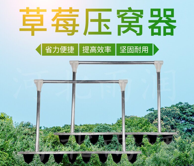 工具更新时间:2022年04月27日草莓打孔器压窝器栽苗挖洞打眼挖窝神器