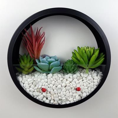 圆形花卉植物花盆壁饰图片