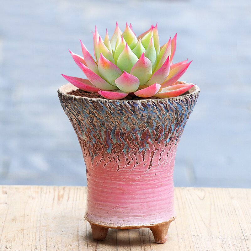 景德镇手捏爆裂多肉花盆新品透气粗陶流釉复古老桩法师盆个性创意