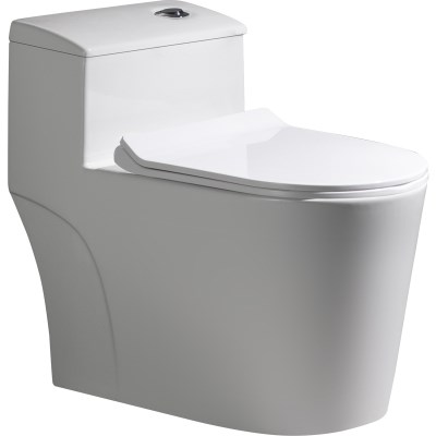 0座管道便成人加大普通马桶抽水虹吸防臭新款