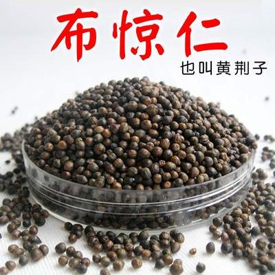 野生布惊仁黄荆子枕头枕芯散装布惊籽普姜籽填充物布惊子颈椎枕