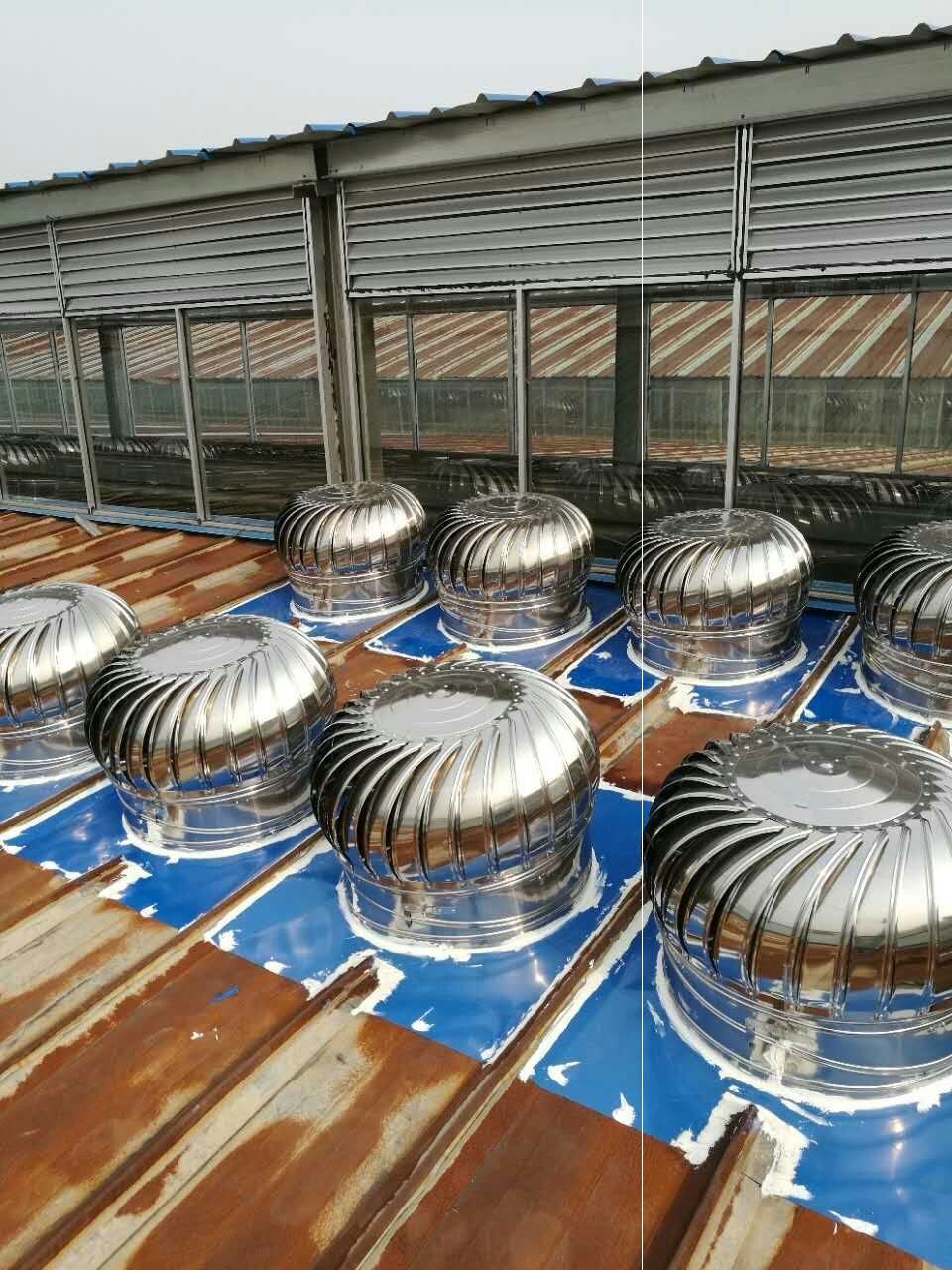 排气扇风罩大额优惠券