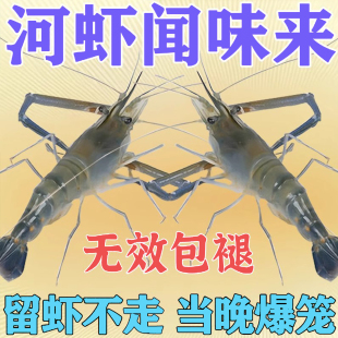 河虾饵料饲料鱼食超强力诱食剂池塘沟渠淡水捕虾四季诱虾专用神器