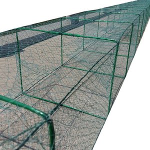 捕甲鱼笼自动图片