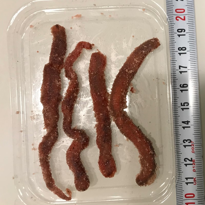 海血虫红虫腌制r半干6包邮赤虫干钓饵黑鲷鲈鱼黄鱼鳗鱼海钓鱼饵料