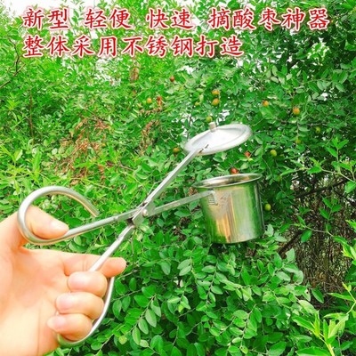 摘山枣神器金桔采摘新型小西红柿摘小果摘酸枣野酸枣摘果防扎工具