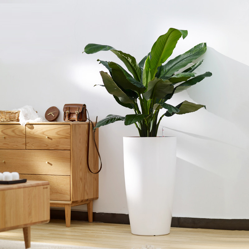 北欧现代轻奢花盆大号圆柱形客厅落地高筒自动吸水免浇水懒人花盆