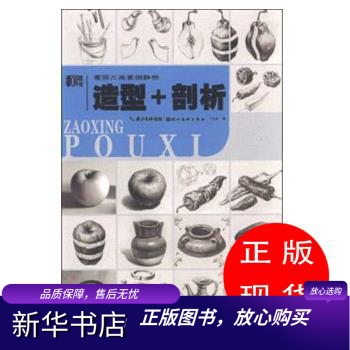 看照片画素描静物造型+剖析丁立龙著【新华书店，畅读优品】