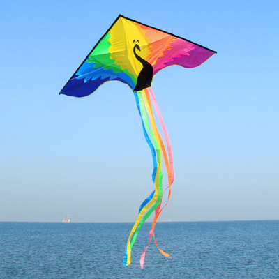 潍坊精品风筝图片