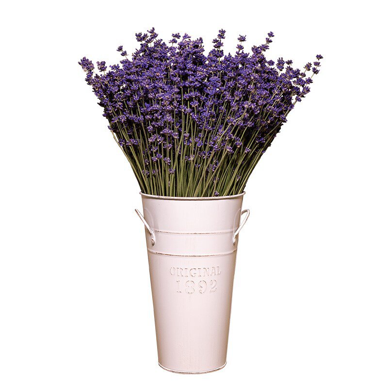 薰衣草干花束花瓶