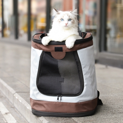 宠物外出便携猫包猫袋透气a猫太空舱狗狗双肩包布偶英短装猫的书出门