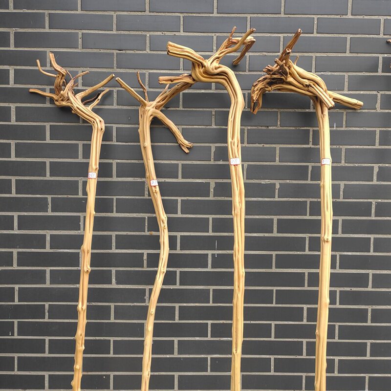 正品实木天然藤条禅杖木拐杖防滑按摩手杖木制拐棍老人长寿杖道士