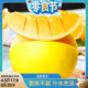 【蜜蜂零食节】甘肃民勤蜜瓜4.5/8斤黄金蜜瓜甜瓜水果