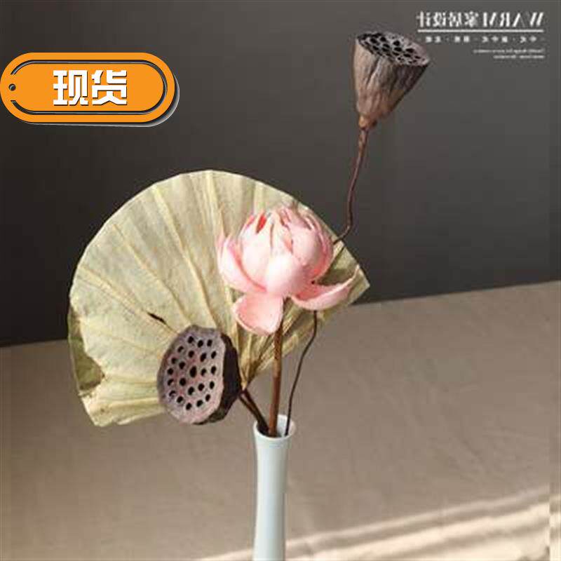 特价干花莲蓬干荷叶插花