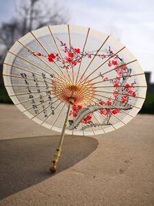 汉服雨伞国风古风油纸伞遮雨m遮阳唐风宋雨手绘梅花谱复古典古装